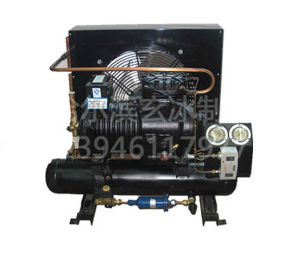 BFS41-51風(fēng)冷機(jī)組