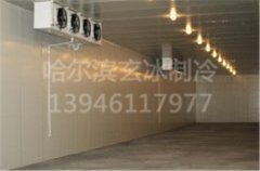 農(nóng)墾九分局